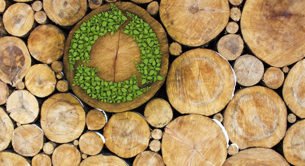 Sustainable wood image